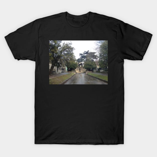 Pere Lachaise Cemetery T-Shirt by ThatBird